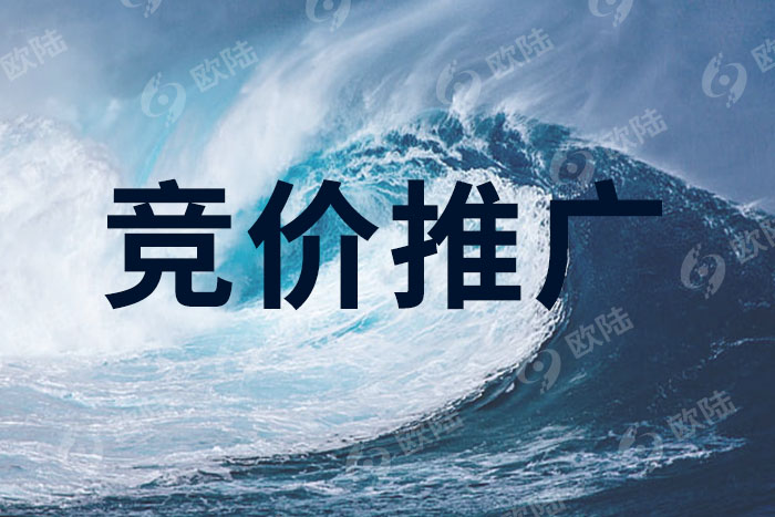 競價(jià)推廣 競價(jià)推廣
