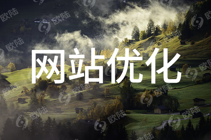 網(wǎng)站優(yōu)化 網(wǎng)站優(yōu)化